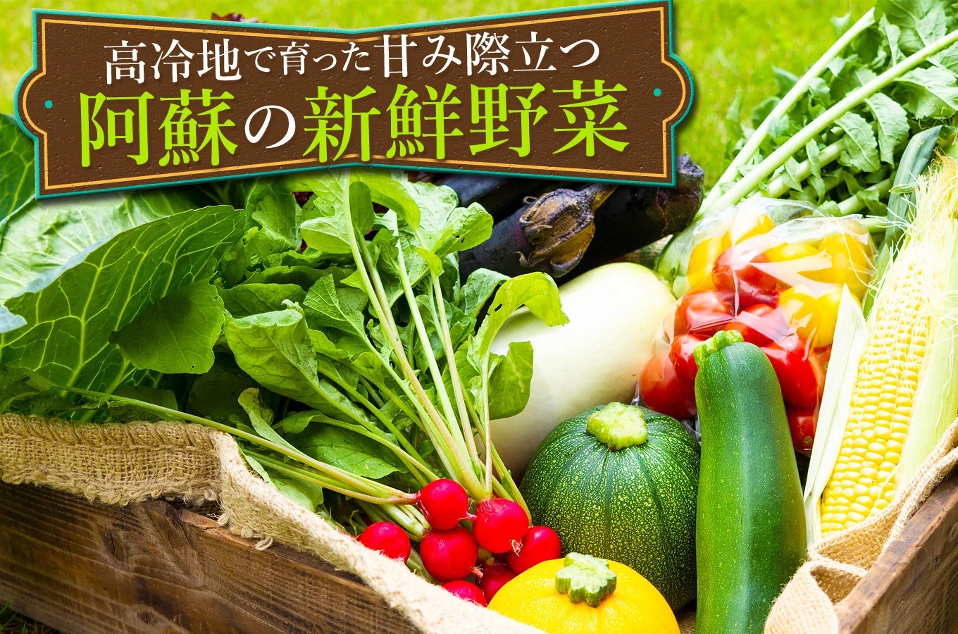 料理イメージ